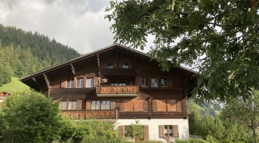 Photo of Akelei (klein)