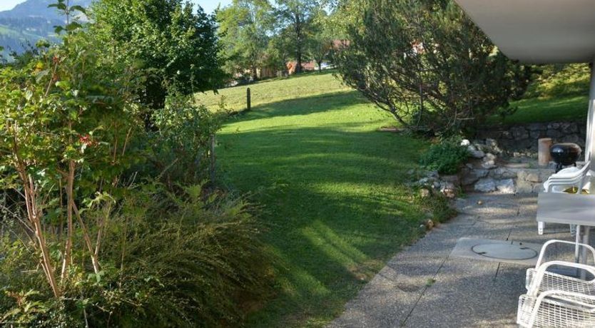 Photo of Akelei (klein)