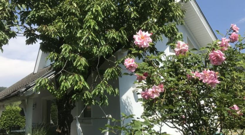 Photo of Seehaus Blue Faak