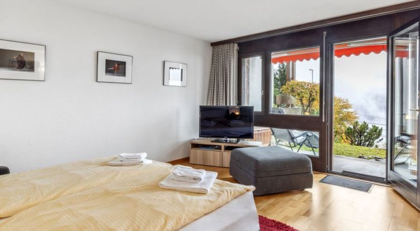 Photo of Krokus Apt.T