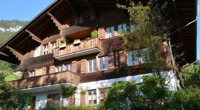 Photo of Akelei (gross)