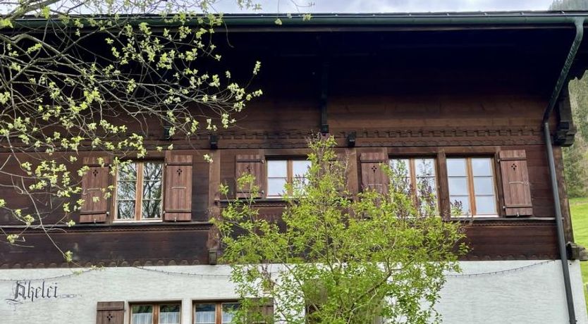 Photo of Akelei (gross)