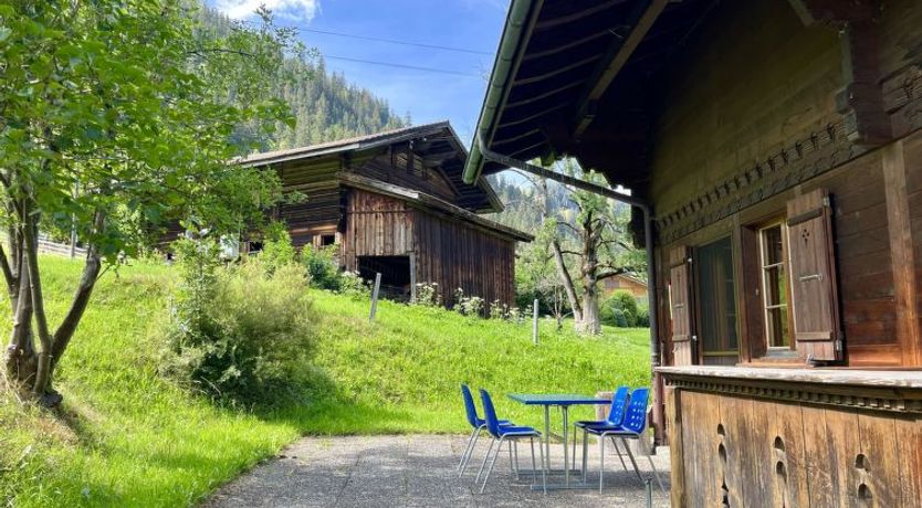 Photo of Akelei (gross)