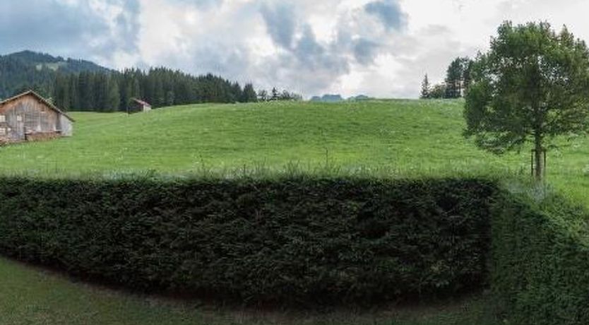 Photo of Les Silenes