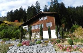 Weidli, Chalet Holiday Home