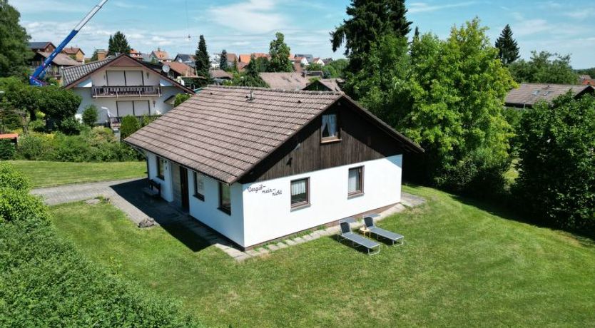 Photo of Vergissmeinnicht