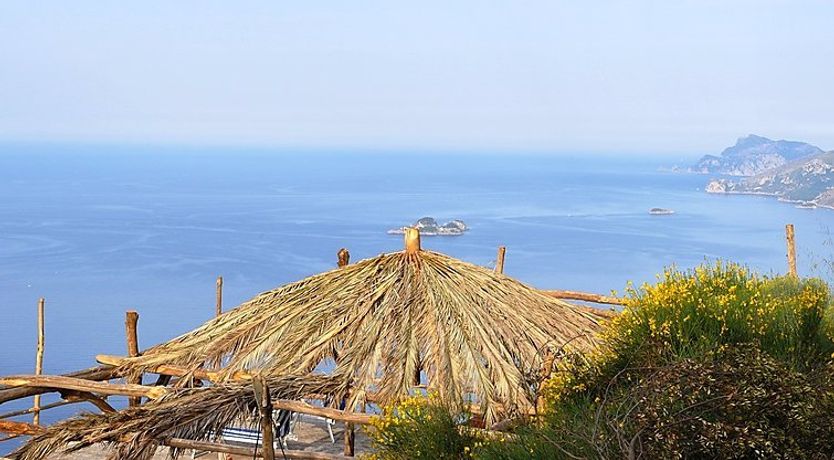 Photo of Dea Afrodite