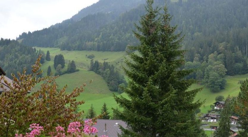 Photo of Spillgerten-Blick