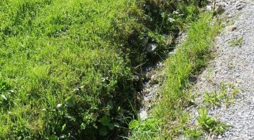 Photo of Majelas Heiti