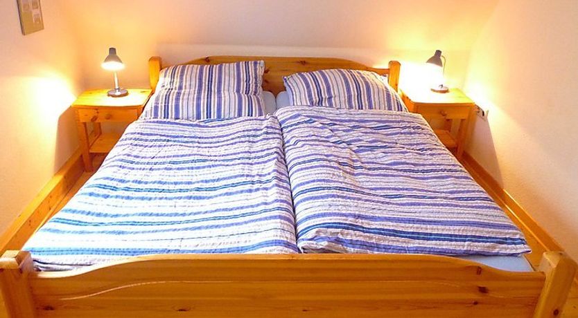 Photo of Natur pur am Nordseedeich