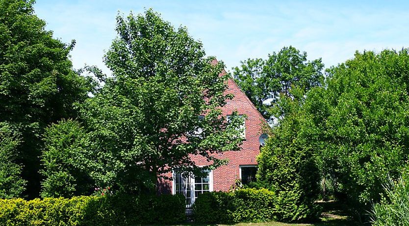 Photo of Natur pur am Nordseedeich