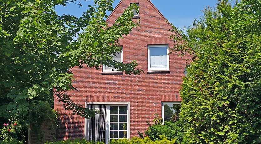 Photo of Natur pur am Nordseedeich