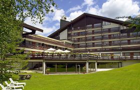 Birkenwald Apartment 3 Holiday Home