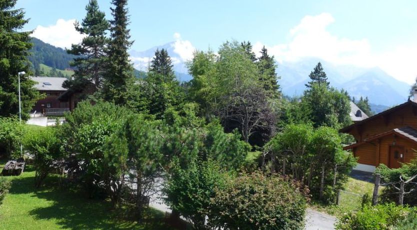 Photo of Le Mont Blanc 8