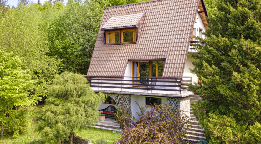 Photo of Partecznik