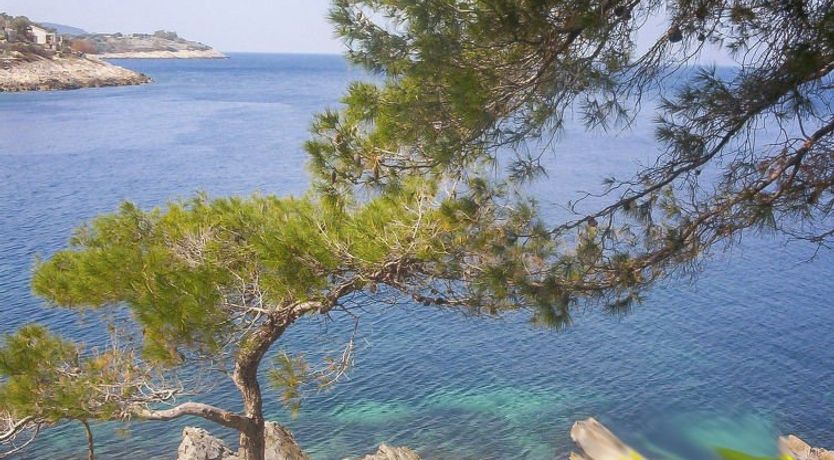 Photo of Dijana Apartment 2