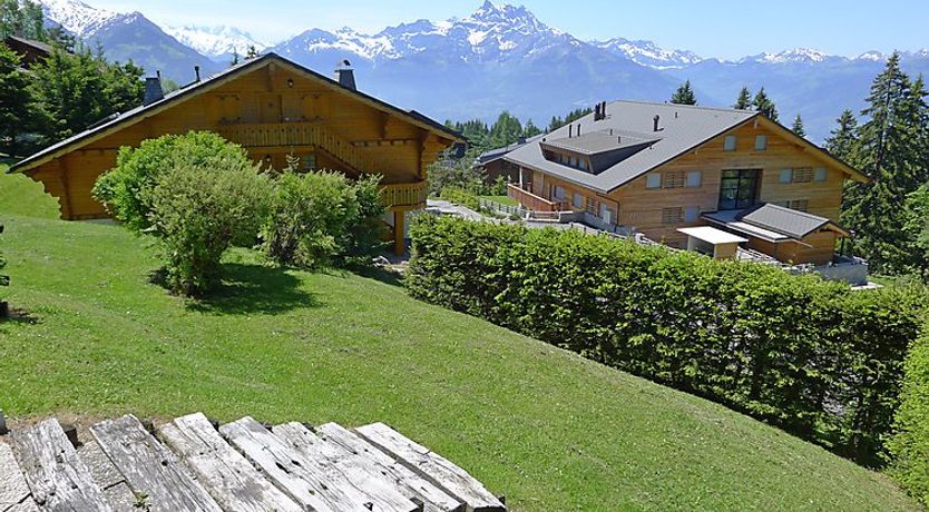 Photo of Le Bouquetin 1