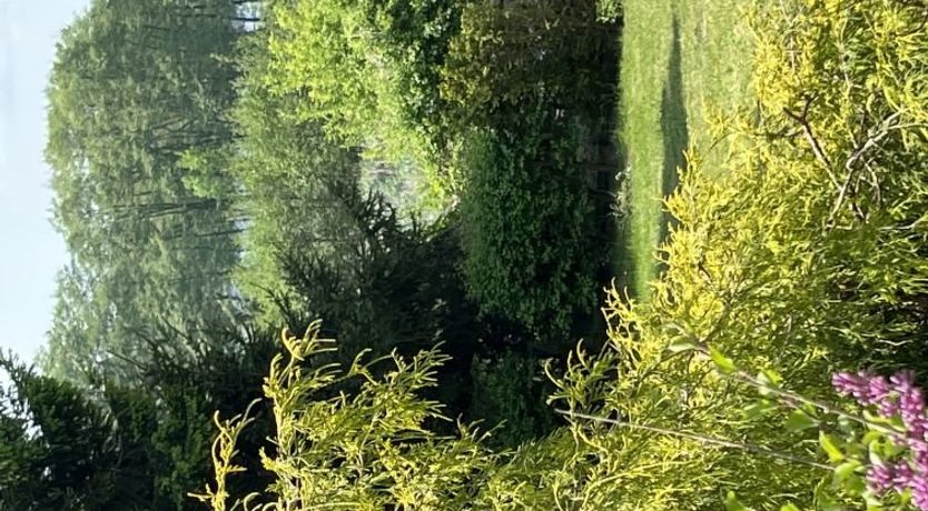 Photo of Willa Teresa