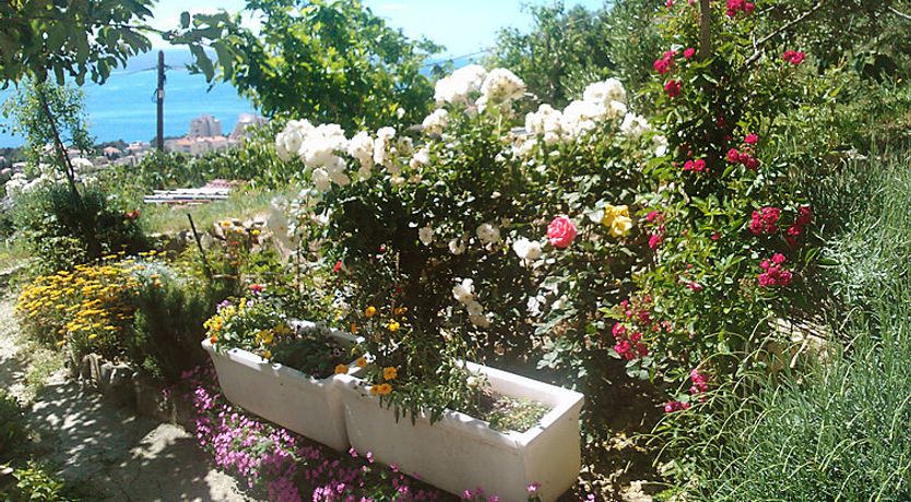 Photo of Mira Apartment 2