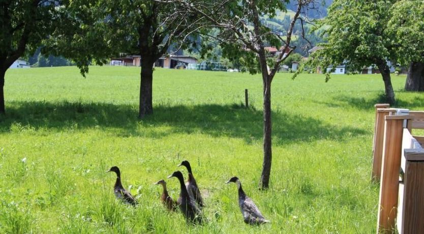 Photo of Gasteighof Apartment 2