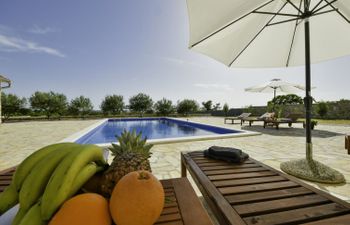 Villa Dalmacija Holiday Home