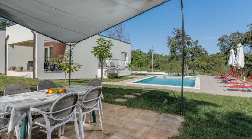 Photo of Forest Fairy