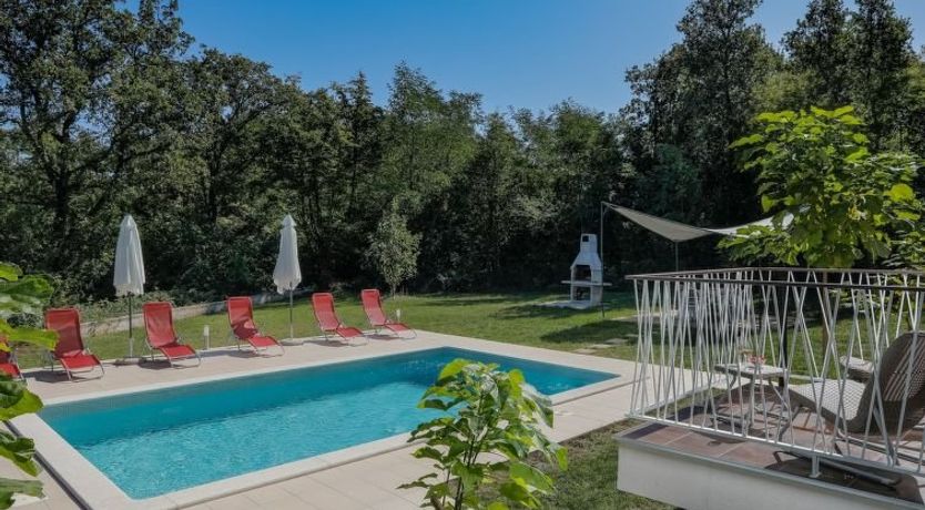 Photo of Forest Fairy