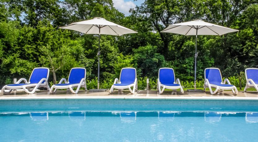 Photo of Forest Fairy