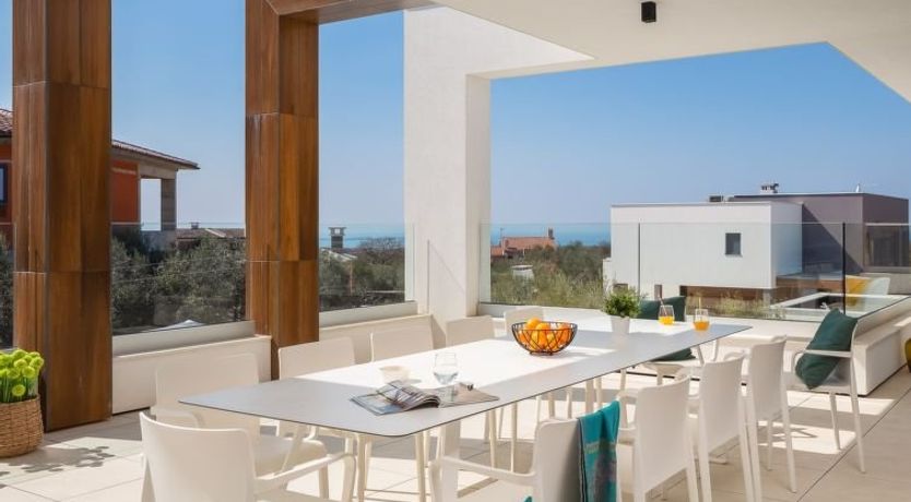 Photo of Old Olive VIII