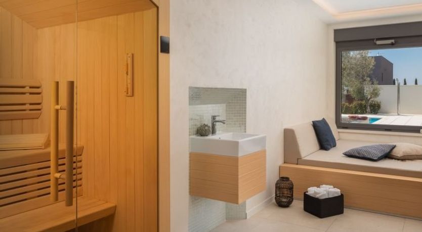 Photo of Old Olive VIII