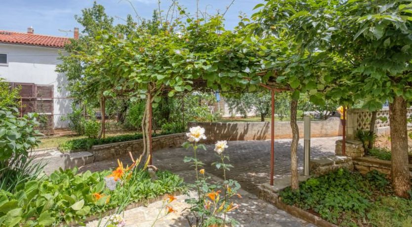 Photo of Daria Apartment 4