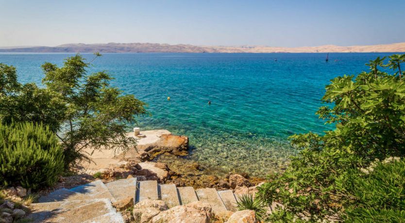 Photo of Delfin Apartment 7