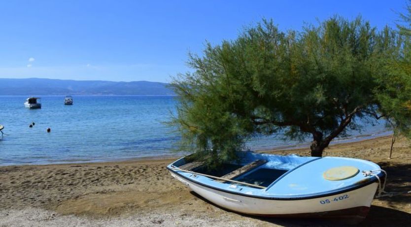 Photo of Niko 2 Apartment 2