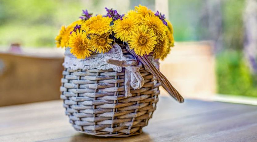 Photo of Plitvice II