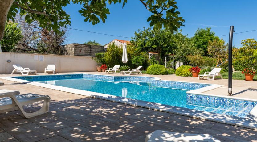 Photo of Bonex Apartment 6