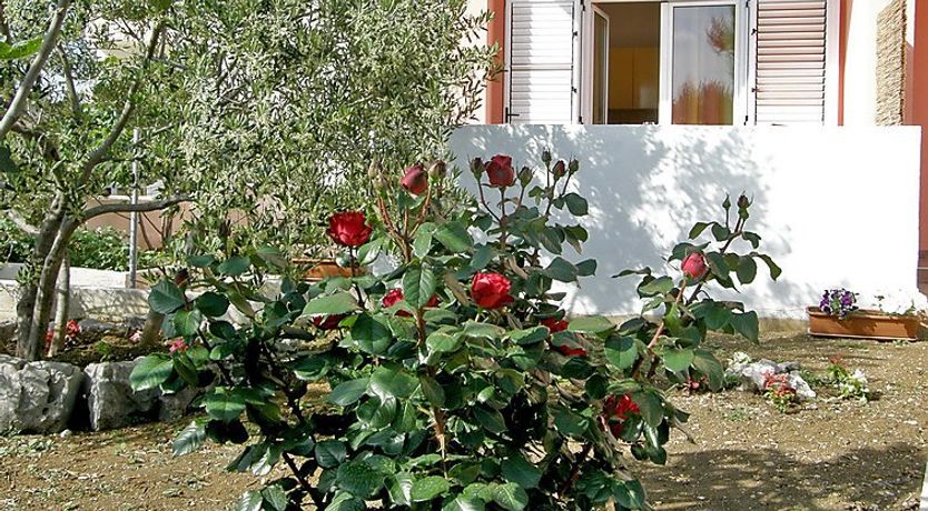 Photo of Maslina Apartment 2