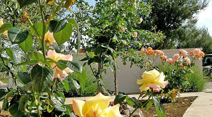 Photo of Maslina Apartment 3