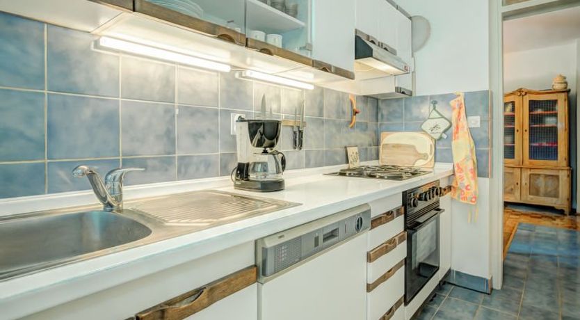 Photo of Iris Croatica