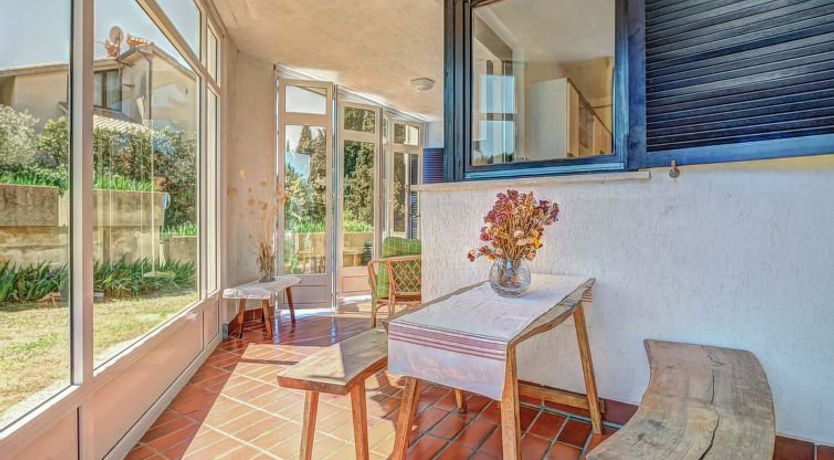 Photo of Iris Croatica