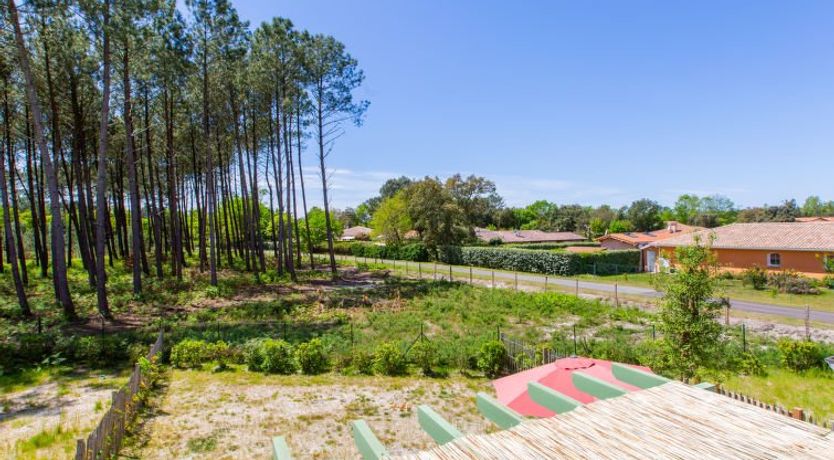 Photo of Les Fougères