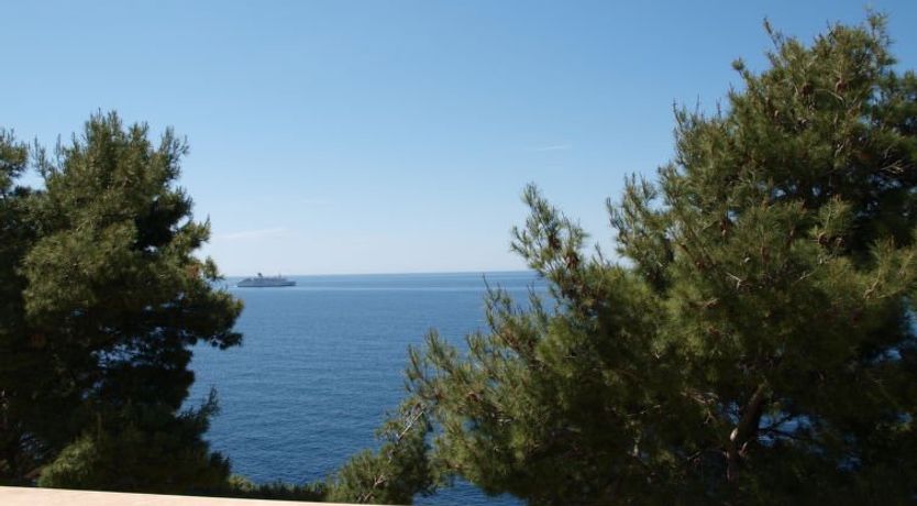 Photo of Plavac Mali Apartment 4