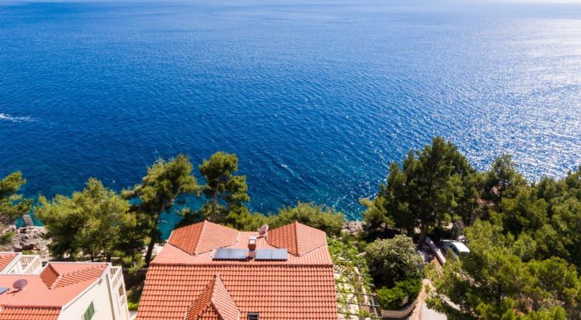 Photo of Plavac Mali Apartment 3