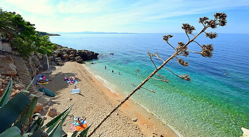 Photo of Plavac Mali