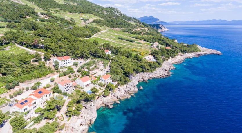 Photo of Plavac Mali Apartment 5