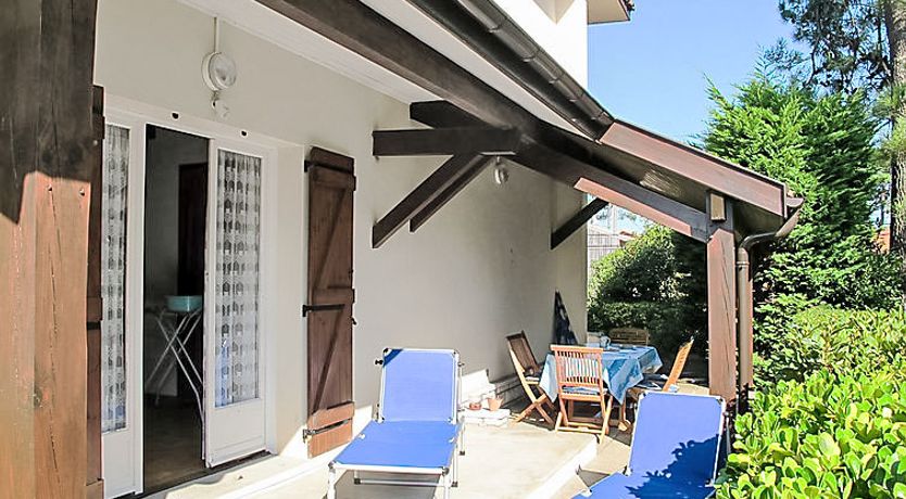 Photo of Tourterelles