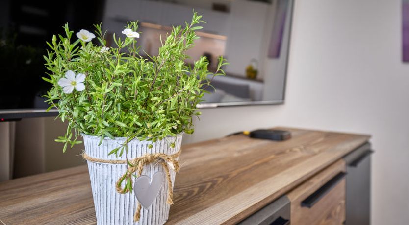 Photo of Horní Mísečky