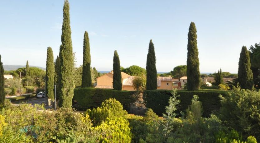 Photo of les Oiseaux