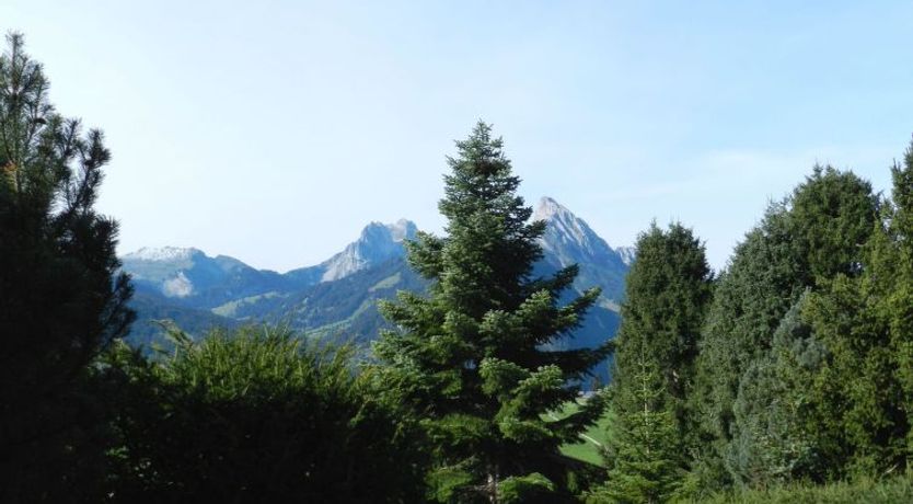 Photo of Hivernants Le Rez