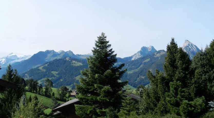 Photo of Hivernants Le Rez