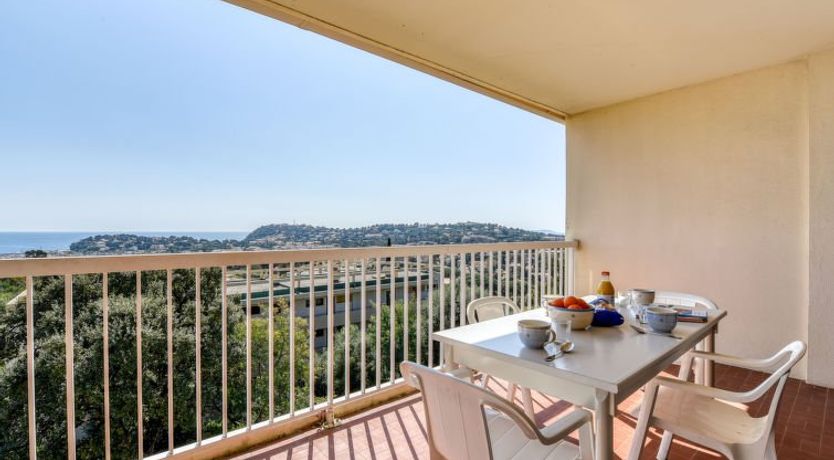 Photo of Les Mimosas